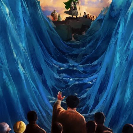 4d4c71b7-2919-45be-aa06-43f496a6b97f