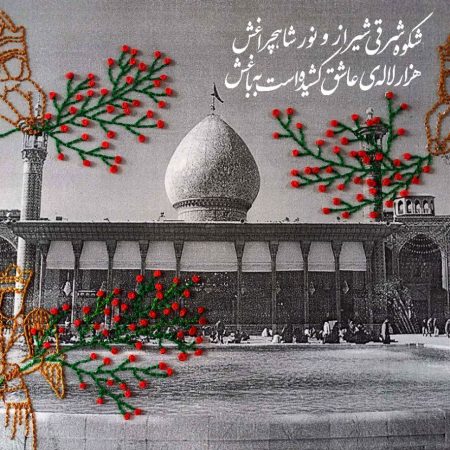 IMG_20221208_103937_623