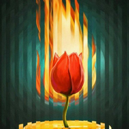 IMG_20230217_114008_424