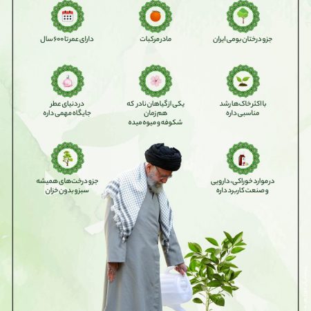 IMG_20230308_071926_839