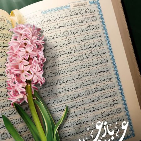 IMG_20230325_113430_812