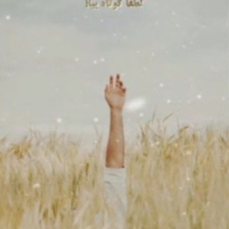 IMG_20230330_122137_996