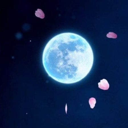 photo_2022-10-31_04-54-01