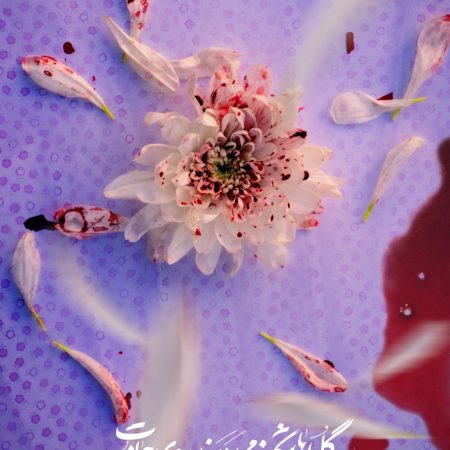 photo_2022-11-01_10-57-52