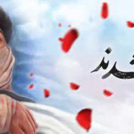 photo_2022-11-01_10-59-11