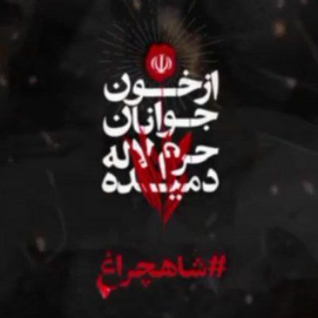 photo_2022-11-02_04-58-04