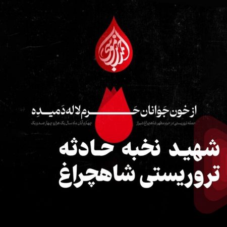 photo_2022-11-08_13-23-46