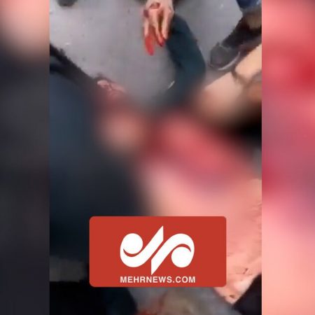 photo_2022-11-08_14-56-38