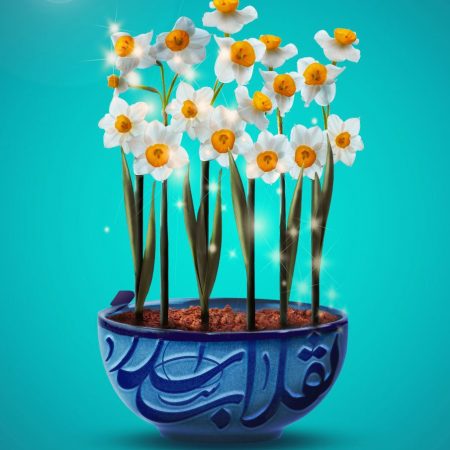 photo_2022-11-15_09-21-58