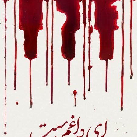 photo_2022-11-17_05-40-13