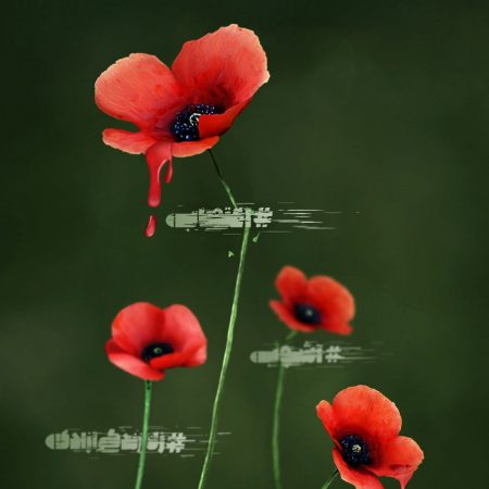 photo_2022-11-19_03-32-18