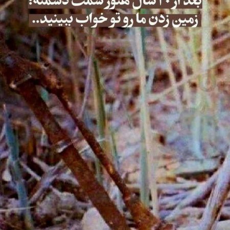 photo_2022-12-17_01-17-45