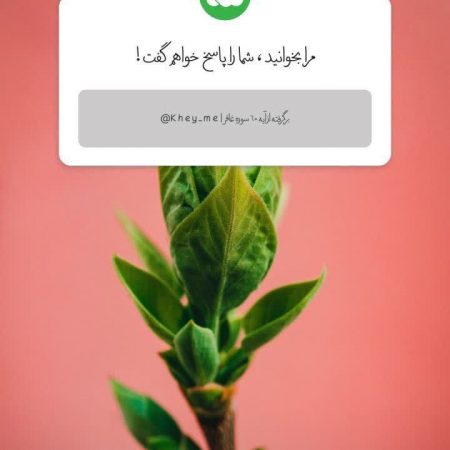 photo_2023-04-25_17-09-46