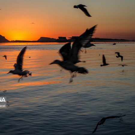 photo_3_2023-04-30_17-21-16